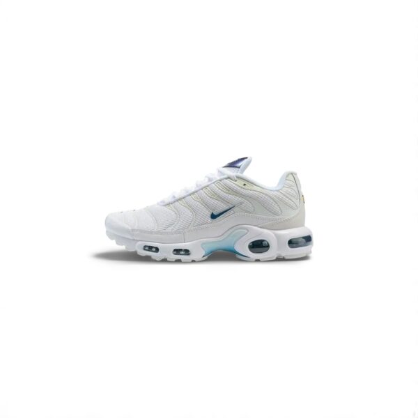 Nike Air Max Plus